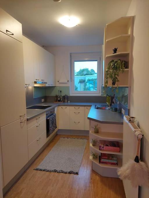Appartamento Schoene Helle Mit Whirlpoolbadewanne Graz